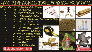 WAEC Agricultural Science Questions And Answers 2025