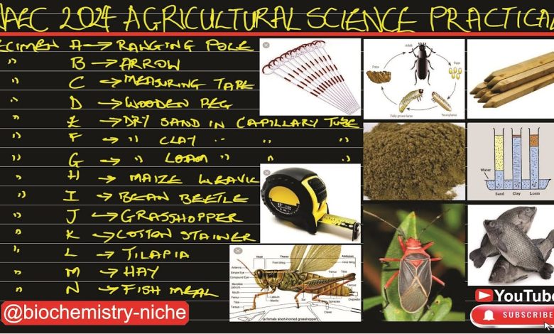 WAEC Agricultural Science Questions And Answers 2025